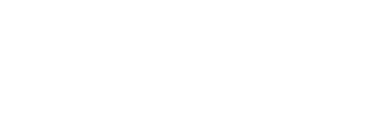 PUNK IPA